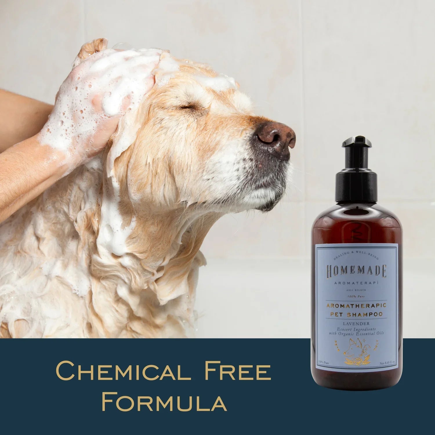 Shampoo & Balm