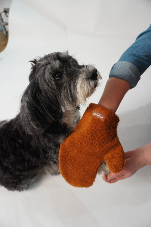 Pawfect Mitt