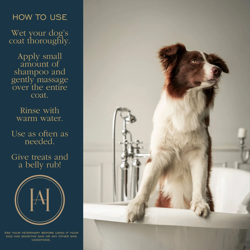 HMA | Aromatherapic Pet Shampoo for Dogs | EcoCert Lavender | 8.4 FL Oz. | HomeMade Aromaterapi